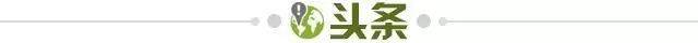 752e5b0c-9319-4726-b0d0-c410ce57d60f.jpg@!img01